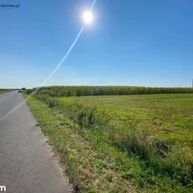 Działka budowlana pod Kościanem na sprzedaż